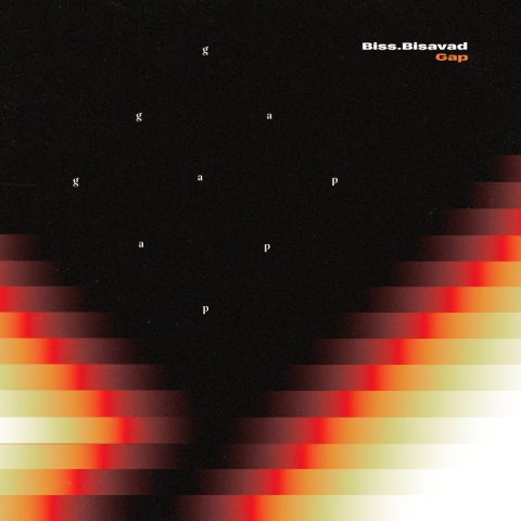 بیس بیسواد – گپ